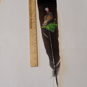 May include: A hand-painted turkey feather with a detailed depiction of a wild turkey. The feather is approximately 12 inches long and has a black and brown color scheme. The turkey is painted in shades of brown, red, and blue, with a green background.
