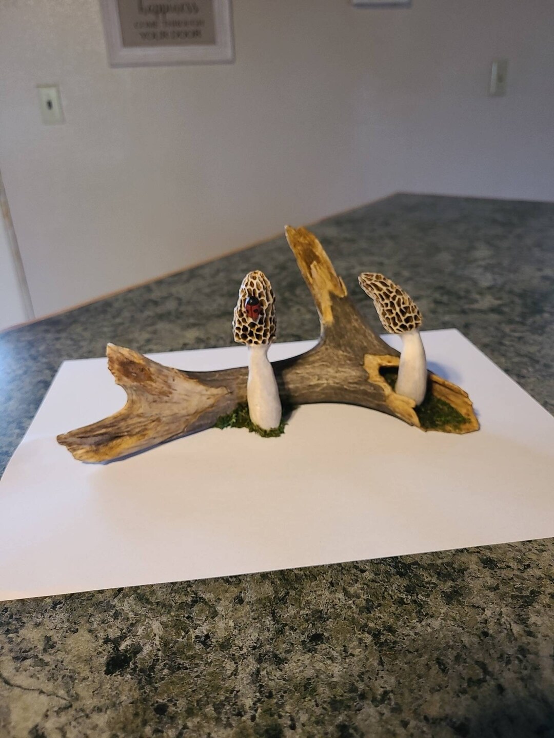 Hand Carved Deer Antler Morel Mushroom Log Shed Antler Carving Etsy