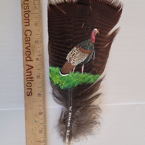 May include: A hand-painted turkey on a brown feather. The turkey is standing on a green patch of grass. The feather is approximately 7 inches long. The artist's signature, "W. Scheide 23", is written on the feather.