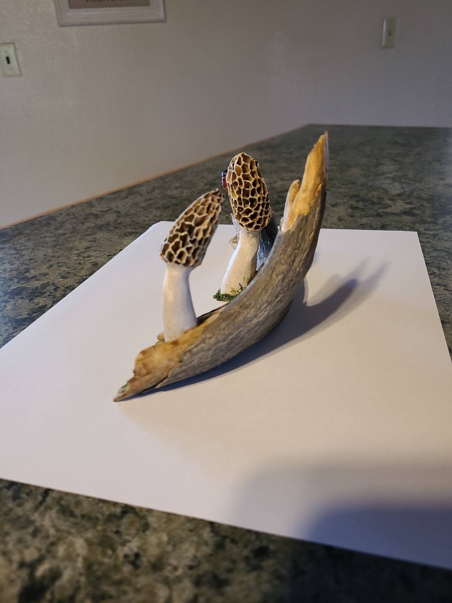 Hand Carved Deer Antler Morel Mushroom Log Shed Antler Carving Etsy