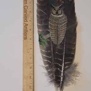 May include: A hand-painted owl on a pair of turkey feathers. The owl is brown and gray with yellow eyes. The feathers are brown and gray with white tips. The feathers are about 12 inches long. The artist's signature is visible on the feathers.