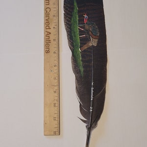 May include: A hand-painted turkey feather with a detailed depiction of a wild turkey in a forest setting. The feather is approximately 12 inches long and features the artist's signature "W. Scheide 2.3".