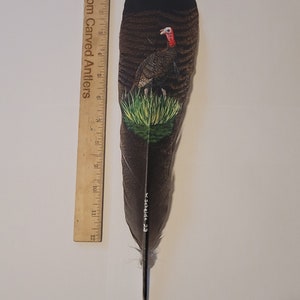 May include: A hand-painted turkey feather with a detailed depiction of a wild turkey in a natural setting. The feather is approximately 12 inches long and features the artist's signature "W. Scheide - 23".