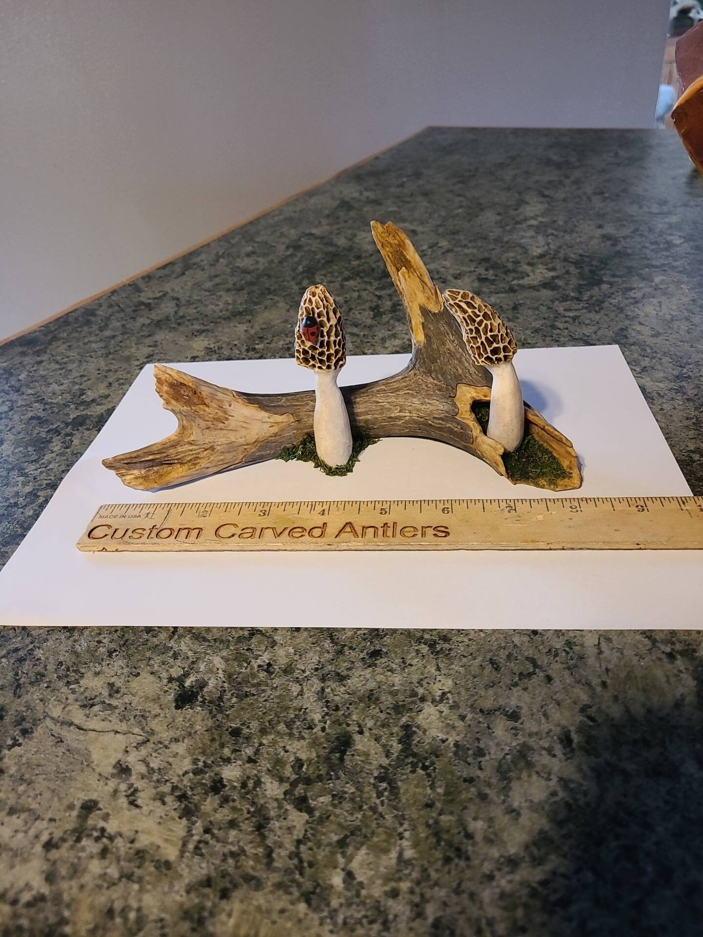 Hand Carved Deer Antler Morel Mushroom Log Shed Antler Carving Etsy