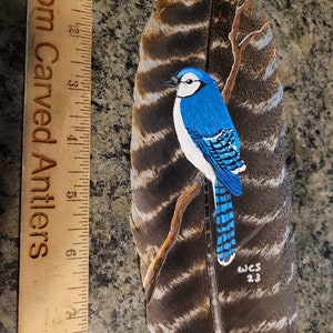 May include: A blue jay painted on a brown and white turkey feather. The bird is perched on a branch and the feather has a striped pattern. The artist's signature "WCS 23" is visible in the lower right corner.