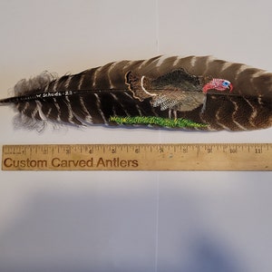 May include: A hand-painted turkey feather with a detailed depiction of a wild turkey in its natural habitat. The feather is approximately 12 inches long and features the artist's signature "W. Schide - 23".