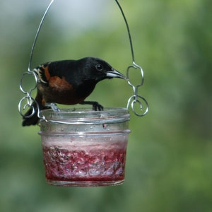 Oriole Feeder