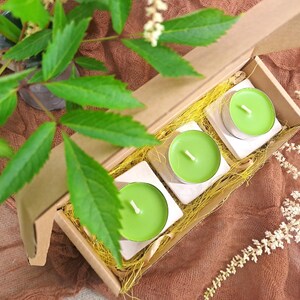 May include: A cardboard gift box holding three green tea light candles, each on a white square. The box is filled with yellow straw. Green leaves and white flowers are in the background. The candles are a vibrant green.