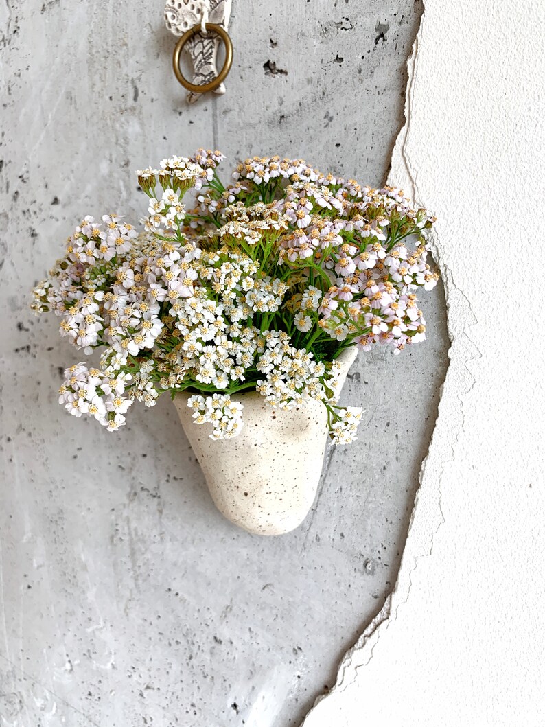 Stoneware Wall Pocket Planter Wall Hanging Succulent Planter Flower Pot Hanging Plant Holder Vase Wallvase Bowl image 2