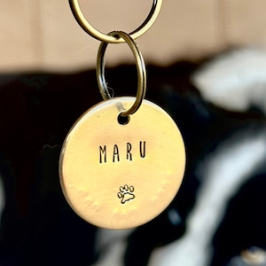 May include: A gold-coloured metal dog tag with the name "MARU" engraved on it. A small paw print is also engraved on the tag. The tag is attached to a split ring.