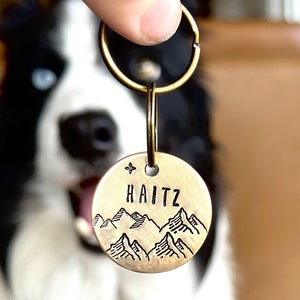 Op de afbeelding: Een gouden hondenpenning met een bergketenontwerp en de naam "HAITZ" erop gegraveerd. De penning is bevestigd aan een zilveren sleutelhanger.