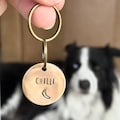 Chilli Dog Tag, Pet Tag, Dog Tag for Collar, Pet Tag for Dogs Personalized, Personalised Pet ID Tag, Custom Pet Tag, Large Dog Tag for Dogs product logo
