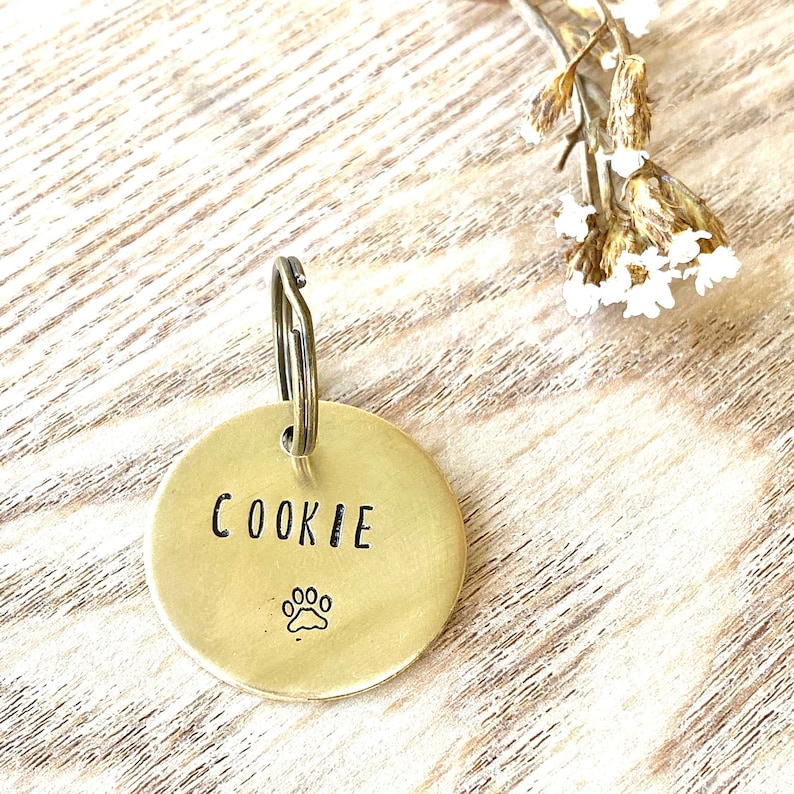 Brass Dog Name Tag Brass Dog Keychain Brass Dog ID Tag Brass Etsy