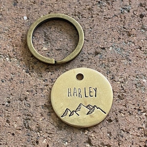 Médaille d'identification pour chien de montagne, médaille pour animal de compagnie montagne, médaille pour chat des montagnes, chien d'aventure, carte d'identité pour animal de compagnie montagne, médaille pour chien en laiton, médaille argentée pour animal de compagnie, médaille en métal