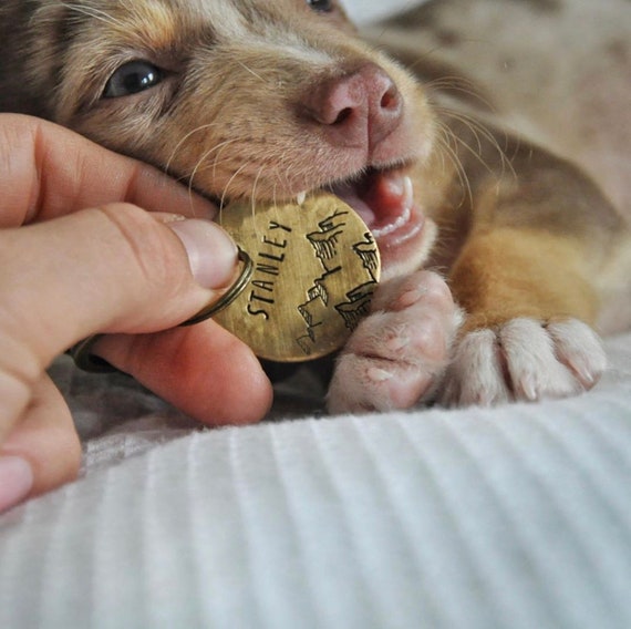 Dog Tag, Cute Dog Tag, Custom Dog Name Tag, Name Tag Dog, Engraved Dog Tag, Metal Pet Tag, Double Sided Dog Tag, Big Dog Tag, Silver Dog Tag