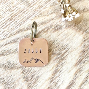Tiny Pet Id Tag | Engraved Dog Name Tag | Dog Tag | Small Dog Tags for Dogs | Kitten Tag | Cat Id Tags | Small Cat Tag for Cats | Engraved