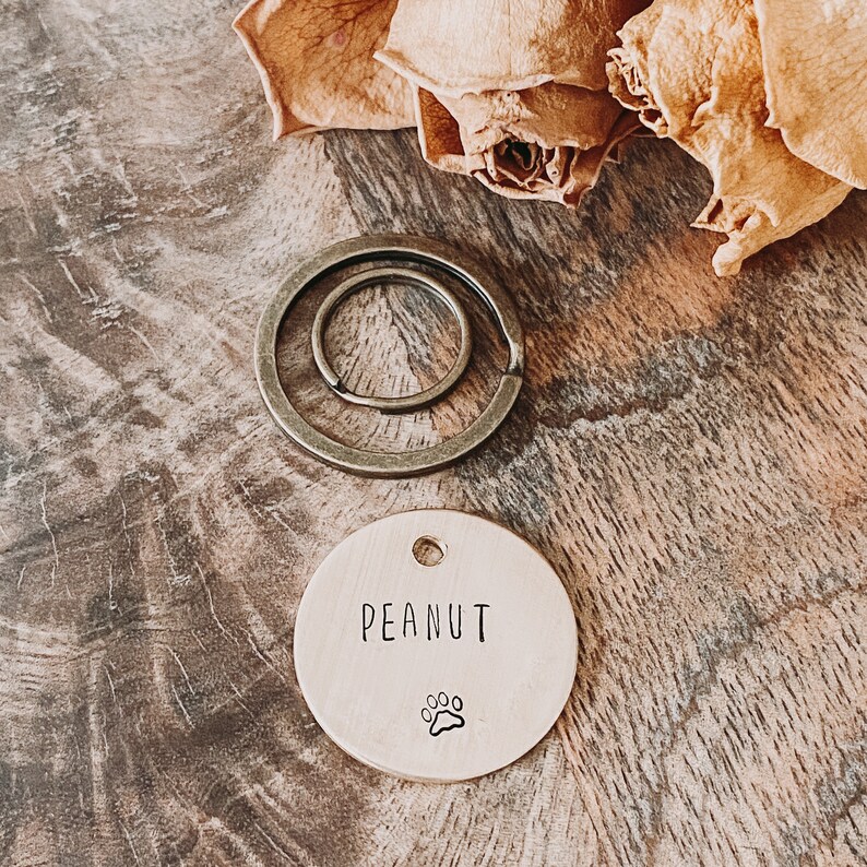 Brass Dog Name Tag Brass Dog Keychain Brass Dog ID Tag Brass Etsy