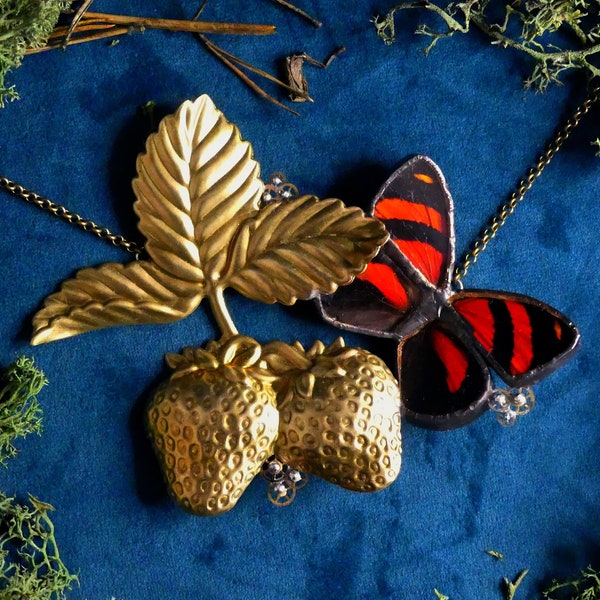Collier plastron avec véritables ailes catagramma cynosura, rouages et estampes fraises