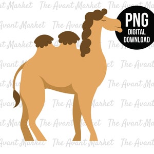 Camel PNG Desert Safari Jungle sublimation numérique instantanée télécharger graphique clip art zoo animal anniversaire douche de bébé scrapbooking