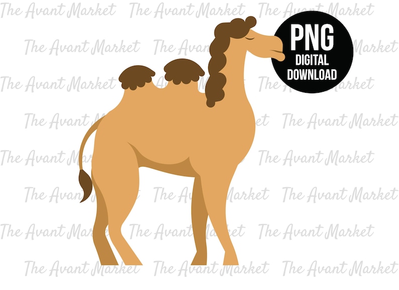 Camel PNG Desert Safari Jungle sublimation instant digital download graphic clip art zoo animal birthday baby shower scrapbooking image 1