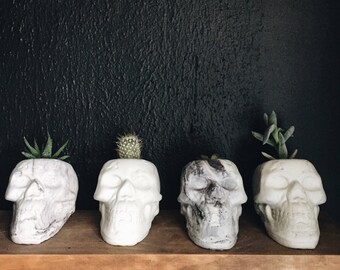 Cement Skull Planter, marble and off white