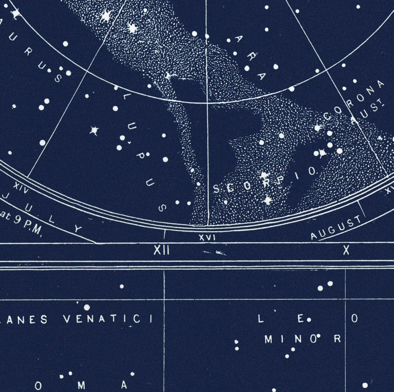 Polar Stars and Equatorial Stars Chart, Astronomy Print, Map of the