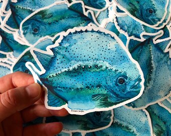 Lumpsucker Fish Etsy