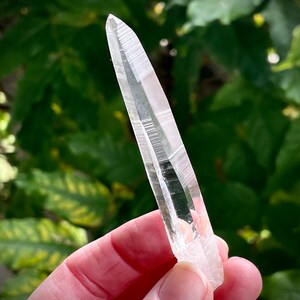 AAA Grade Colombian Lemurian Quartz Crystal from the Peñas Blancas Mine, Optically Clear Colombian Lemurian Quartz with Muzo Habit