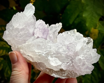 Clúster de cristal de amatista elestial único de Minas Gerais, Brasil, racimo de flores de amatista brasileño