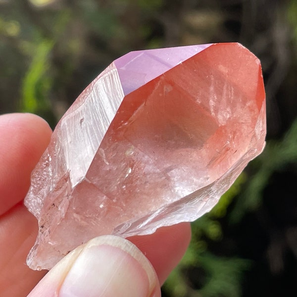 RARE AAA Grade Pink Lemurian, Scarlet Temple Quartz Crystal, Brazilian Pink Lemurian Seed Quartz, Exceptional Quality and Clarity