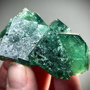 Diana maria mine - Etsy 日本