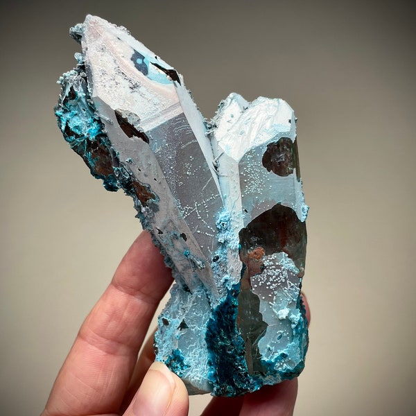 RARE AAA Grade Smoky Quartz Crystal with Secondary Growth of Chrysocolla from Tentadora, Peru. High Grade Collector Quartz Specimen