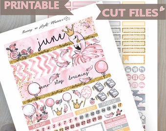 Flamingo June Erin Condren Monthly Sticker Kit,June Monthly Sticker kit,June Stickers,Printable Stickers,Flamingo Stickers,Summer Stickers