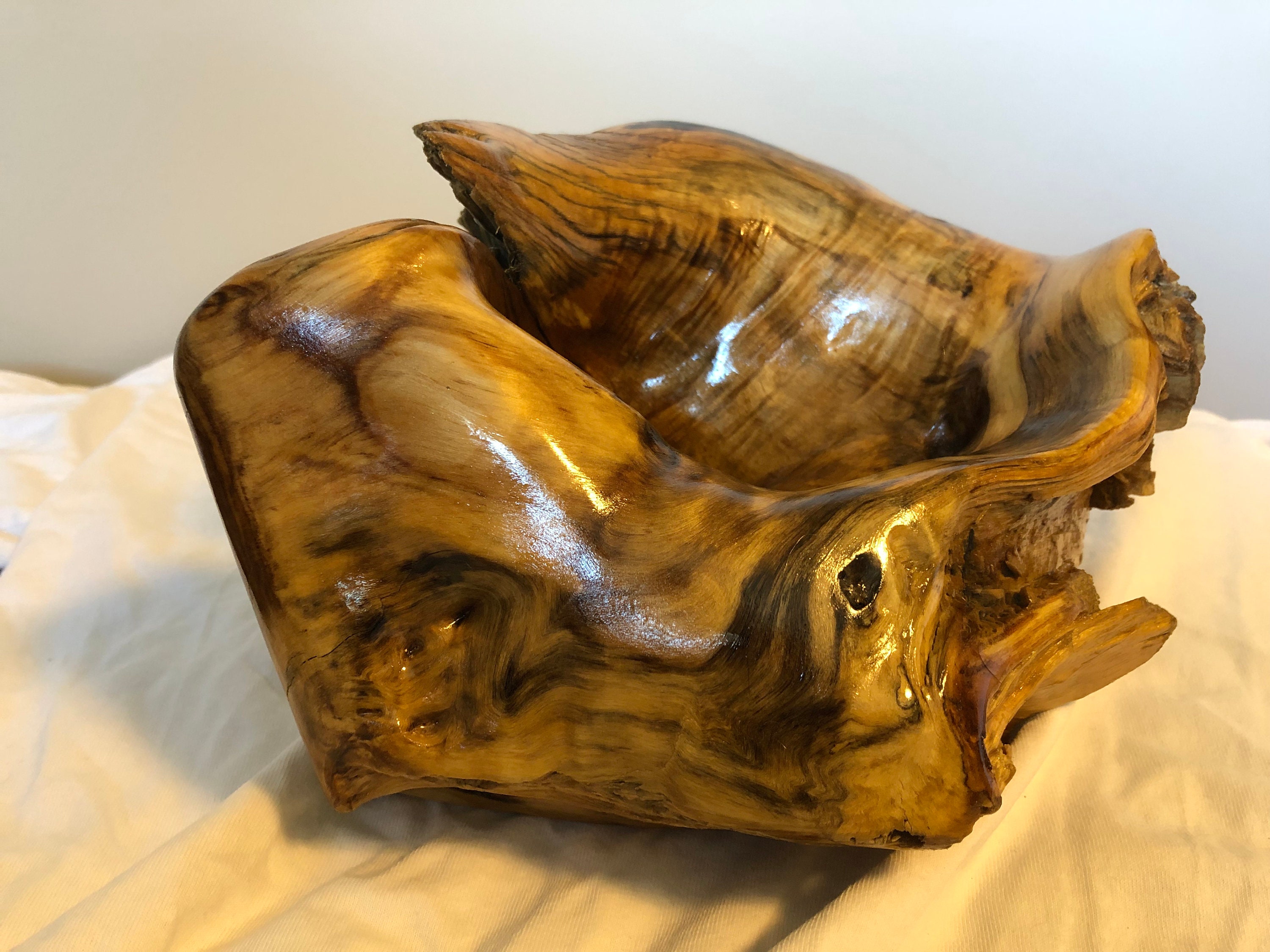 Treibholz Queen Conch Fertige Kunst Meer Dekor Sammlerstück | Etsy