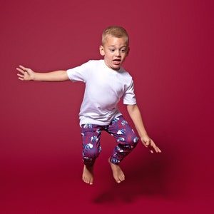 Red and Blue Zebra Buffalo Joggers, Buffalo NY, RWB Buffalo, Buffalove, Baby Gift, Baby Joggers, Buffalo Joggers, Lets Go Buffalo, Joggers
