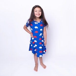 Red and blue buffalo dress, Buffalo NY, Buffalo Dress, Red White and Blue, Buffalo Gift, Buffalo Girls Dress, Buffalo Baby Dress