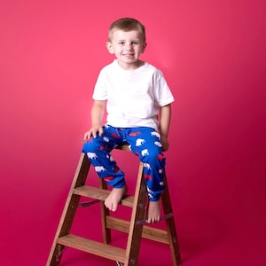 Red and Blue Buffalo Joggers, Buffalo NY, RWB Buffalo, Buffalove, Baby Gift, Baby Joggers, Buffalo Joggers, Lets Go Buffalo, Joggers