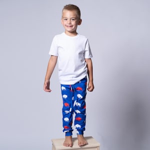 Red and Blue Buffalo Joggers, Buffalo NY, RWB Buffalo, Buffalove, Baby Gift, Baby Joggers, Buffalo Joggers, Lets Go Buffalo, Joggers