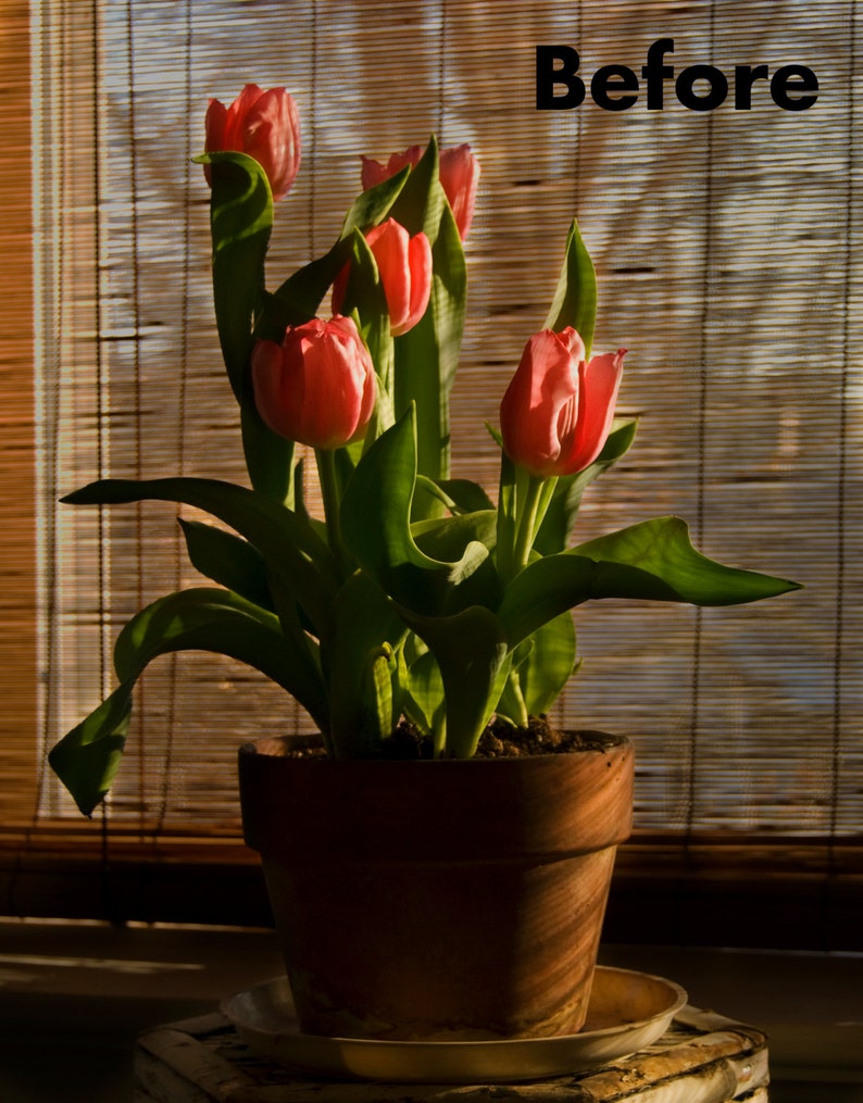 Photo Editing, Remove Background, Erase Background, Fix Pictures