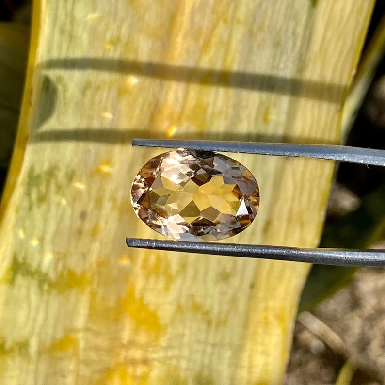 May include: A light brown oval-shaped gemstone with facets, held in tweezers against a blurred background.