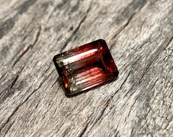 Natural Bicolor Watermelon Tourmaline Octagon Gemstone: 9.84 Carats