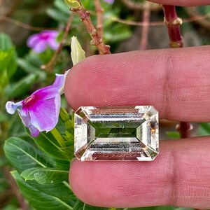 May include: A clear, rectangular, faceted gemstone with a light green hue. The gemstone is held between two fingers against a background of green leaves and pink flowers.