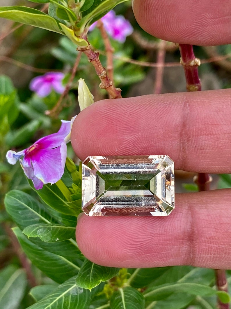 May include: A clear, rectangular, faceted gemstone with a light green hue. The gemstone is held between two fingers against a background of green leaves and pink flowers.