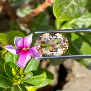 May include: A light brown oval-shaped gemstone with a faceted cut. The gemstone is held in a pair of tweezers against a green leafy background.