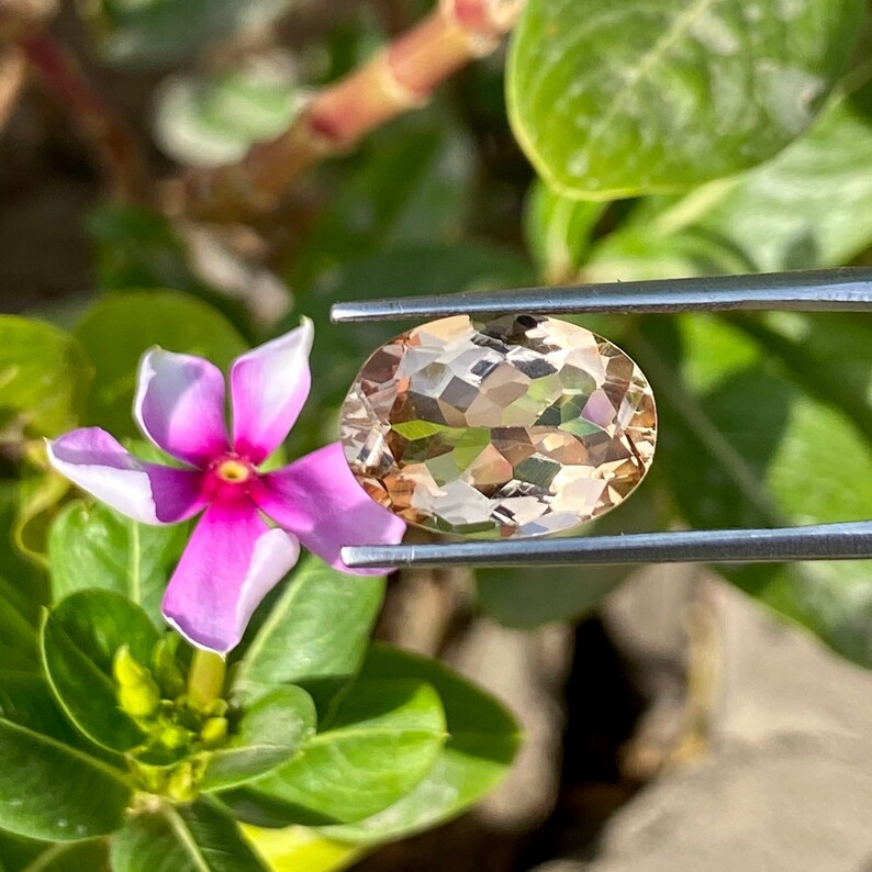 May include: A light brown oval-shaped gemstone with a faceted cut. The gemstone is held in a pair of tweezers against a green leafy background.