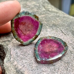 Pu&ograve; includere: Due fette di tormalina rosa e verde con un bordo naturale grezzo. Le fette sono traslucide e hanno un centro rosa con un bordo esterno verde.