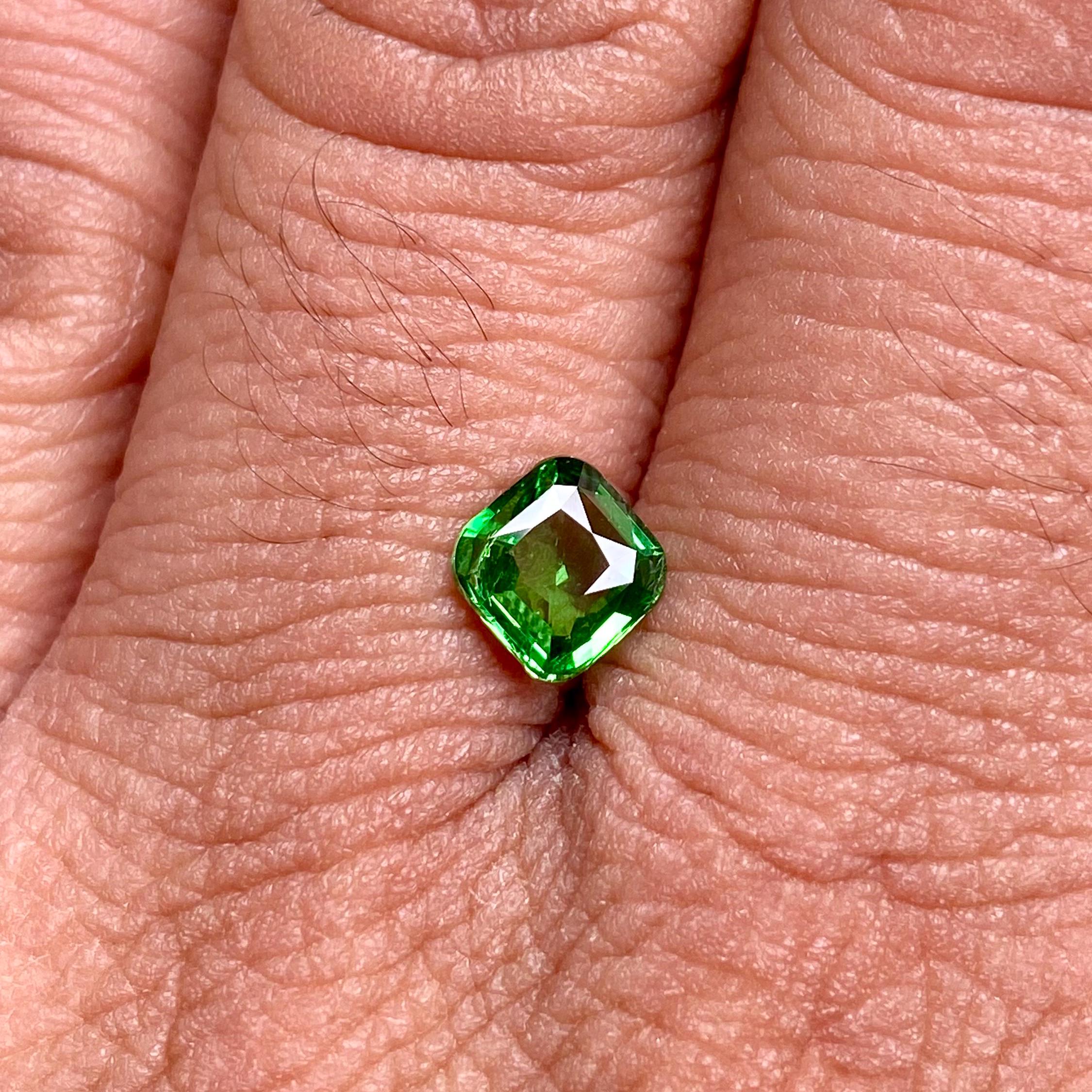 Vivid Green Tsavorite Garnet: 1.07 Carat Square Cut Gemstone - Etsy