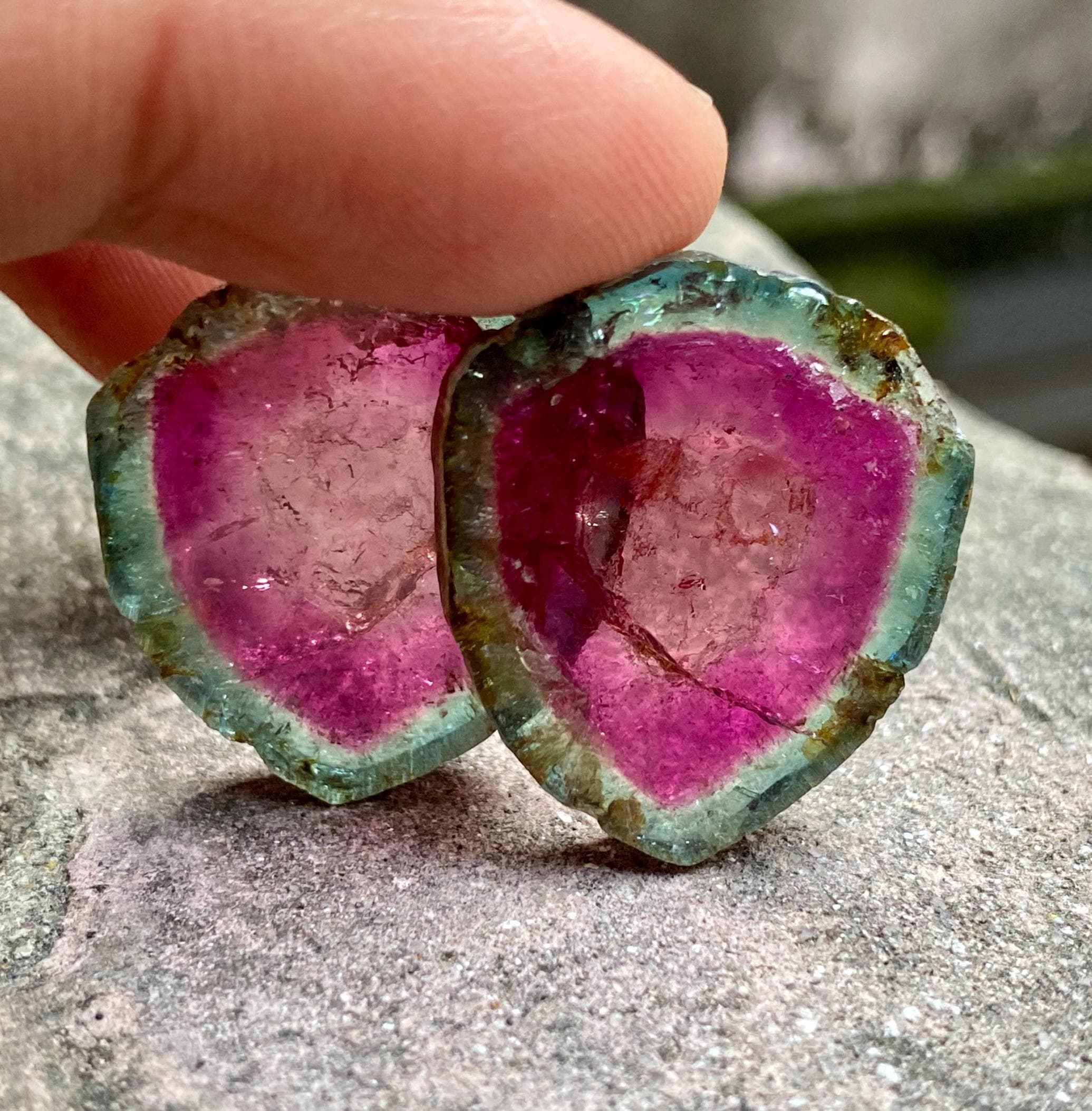 Brazilian Watermelon Tourmaline Slice: 52.16 Carats Shield Cut