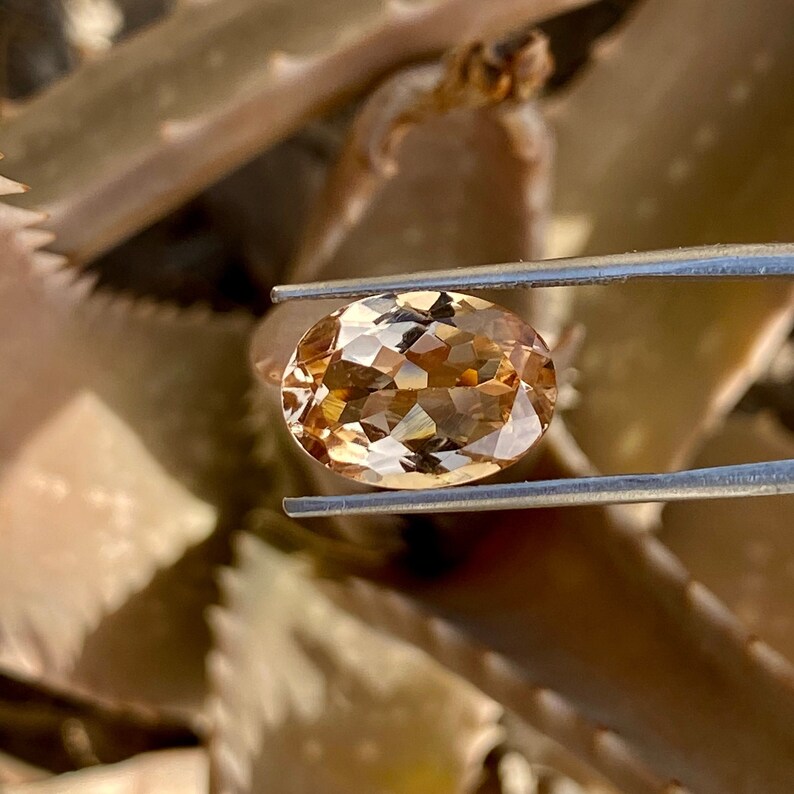 May include: A light brown oval-shaped gemstone with facets, held by tweezers against a brown background.