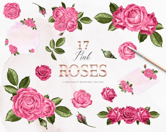 17 Pink Roses Clipart Floral Clipart Set Pink Rose Clipart Etsy 17 Pink Roses Clipart Floral Clipart Set Pink Rose Clipart Etsy